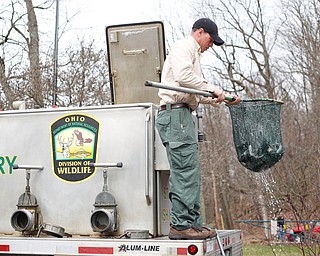 Daniel Kovalaske, fish catcher and coordinator with Ohio Division of Wildlife, prepares to transfer rainbow trout into Lake Glacier on Thursday. EMILY MATTHEWS | THE VINDICATOR