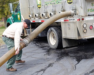 Daniel Kovalaske, fish catcher and coordinator with Ohio Division of Wildlife, prepares to transfer rainbow trout into Lake Glacier on Thursday. EMILY MATTHEWS | THE VINDICATOR