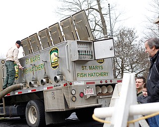 People watch as Daniel Kovalaske, fish catcher and coordinator with Ohio Division of Wildlife, releases rainbow trout into Lake Glacier on Thursday. EMILY MATTHEWS | THE VINDICATOR