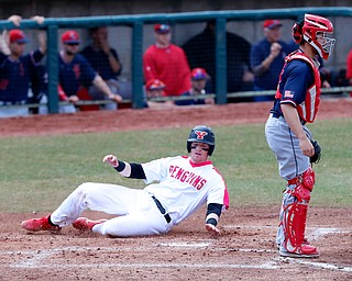  NILES, OHIO - April 6, 2019:  During the 2nd inning, Youngstown State Penguins' Trevor Wiersma (19) scores YSU 1st run at Eastwood Field. Photo by MICHAEL G. TAYLOR | THE VINDICATOR