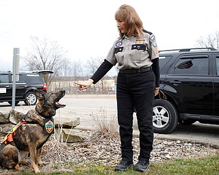 Kathy Ferrara of Brookfield practices a search with Lucia, one of her German Shepherds, as part of the K-9 S.O.S. training outside the Brookfield Police Department building. 