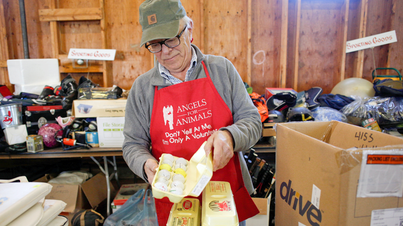 Volunteer Bill Varga of Columbiana arranges golf balls and other sports equipment up for sale at Angels For Animals 25th annual Gigantic Garage Sale, set for Friday through Sunday, at the Canfield Fairgrounds.