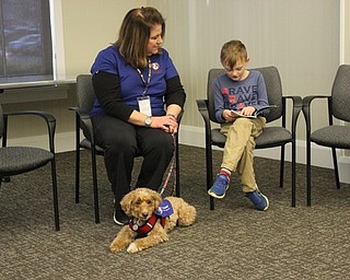Neighbors | Abby Slanker.Miles Mihalick, of Canfield, read to Simba, a nine-year-old miniature golden doodle and certified therapy dog with Pet Partners, at the Canfield library’s Tales to Tails program on March 11, as Terri Wagner, Simba’s handler, listens to the story, too.