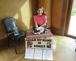 Neighbors | Jessica Harker.Nicole D'Angelo, a volunteer with 4H, brought a bunny named Ginger to Boardman Park April 11 for community members to pet during the Evening with the Easter Bunny event.