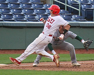 William D. Lewis the vindicator  YSU's Dylan Swarmer(36) makes a stqnd up triple during 8th inning while OU'sTrevor Hafner(1) waits for the throw.