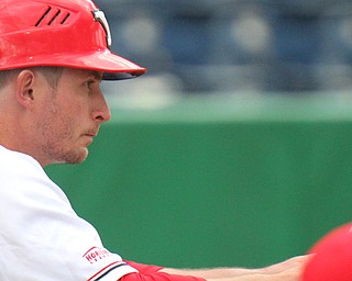 Youngstown State University baseball coach Dan Bertolini watches from the dugout as the Penguins lose to Ohio University 3-2 at Eastwood Field.