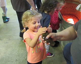 Neighbors | Jessica Harker.Delaney Daugherty got to pet a baby duck April 19 at the Metro Park Farm's Tales for Tots event.