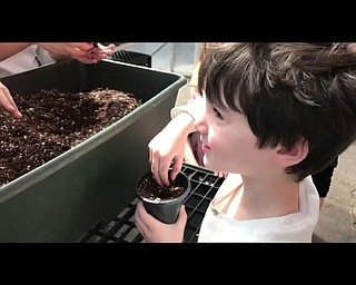 Neighbors | Submitted.Students at Poland Union Elementary School utilized the school's greenhouse, growing flowers as gifts for Mother's Day.