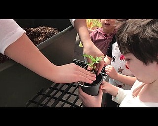 Neighbors | Submitted.Poland Union students planted flowers for Mother's Day in the school's greenhouse with the help of high school students who are members of the Big Dog Little Dog mentorship program.