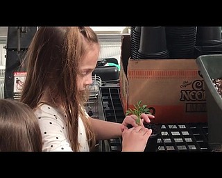 Neighbors | Submitted.Students at Poland Union Elementary School learned about gardening by planting flowers in the school's greenhouse.