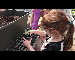 Neighbors | Submitted.Students learned gardening skills, and the importance of plants at Poland Union Elementary School's greenhouse where they planted flowers.