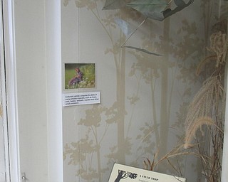 Neighbors | Submitted.Photos of bunny's found in Mill Creek Park were hidden around the Ford Nature Center the week before Easter for a do it yourself sacavenger hunt.