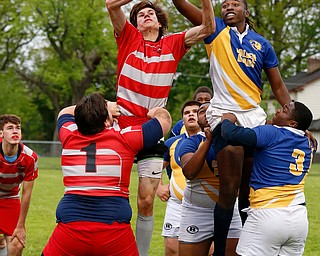 YOUNGSTOWN, OHIO - May 10, 2019: Rugby- Northwest Indians vs East Golden Bears.  East Golden Bears and Northwest Indians go for the lineout during the 1st half at Rayen Stadium. Photo by MICHAEL G. TAYLOR | THE VINDICATOR