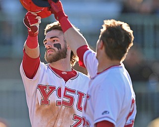 NILES, OHIO - MAY 14, 2019: Youngstown State's Jeff Wehler, left, is congratulated by Cameron Murray after hitting a 3-run home run off Ohio State starting pitcher Jake Vance in the third inning of Tuesday nights game against Ohio State at Eastwood Field. Ohio State won 7-4. DAVID DERMER | THE VINDICATOR