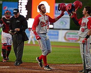 NILES, OHIO - MAY 14, 2019: Youngstown State's Dominic Canzone is congratulated by Matt Carpenter, right, after hitting a two-run home run in the eighth inning of Tuesday nights game against Youngstown State at Eastwood Field. Ohio State won 7-4. DAVID DERMER | THE VINDICATOR