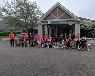 Neighbors | Submitted.Twenty therapy dogs from Go Team Therapy visited residents of Beeghly Oaks on May 4.
