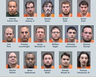 A sting that nabbed 16 men for soliciting sex from minors was months in the planning, Mahoning County Sheriff Jerry Green said at a news conference announcing their arrests.