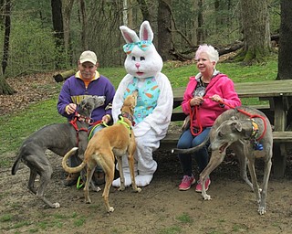 Neighbors | Jessica Harker .Community members gathered at the Bearns Den Cabin at Mill Creek Park April 20 with the Metro Mutts group where they posed with their dogs for photos with the Easter Bunny.