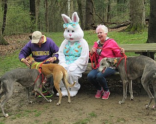 Neighbors | Jessica Harker .Dogs and their owners gathered at the Mill Creek Park April 20 to walk with the Metro Mutts group, after which they were able to pose for photos with the Easter Bunny.