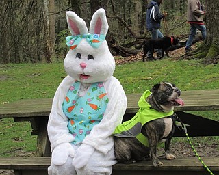 Neighbors | Jessica Harker .Dogs posed for pictures with the Easter Bunny after walking through Mill Creek Park with the Metro Mutts group April 20.