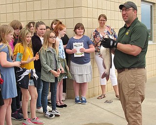 Neighbors | Jessica Harker.Austintown students learned about native fish species during a visit from members of the Ohio Department of Wildlife April 23.