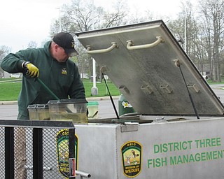 Neighbors | Jessica Harker.Members of the Ohio Division of Wildlife brought a number of live fish, local to Ohio, to Austintown Intermediate School April 23.