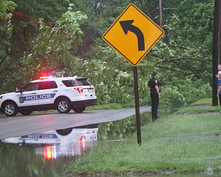 William D. Lewis The Vindicator   Tuesday night storm downed a tree on Glenwood in Boardman