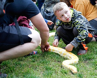 Lincoln Caldwell, 7, of Brookfield, touches Banana Montana, an albino Burmese python with Jungle Terry, at Riverfest on Sunday afternoon. EMILY MATTHEWS | THE VINDICATOR