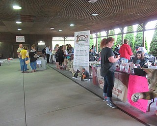 Neighbors | Jessica Harker .A number of shelters and other vendors were present at the Boardman Park June 2 for the Adopt-A-Palooza event.
