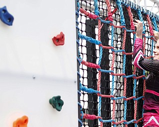 Reygan Long, 17, climbs on a rope and rock wall, part of a Ninja obstacle course, during the Autism Warrior Competition at the Canfield Fairgrounds. She completed the course Saturday with her twin sister Kamryn, both of whom have autism and cheer with Miss Dana's Diamonds. 