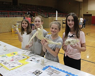 Neighbors | Abby Slanker.Canfield Village Middle School fifth-grade students got an up-close look at animal skulls at the school’s STEM Day on May 20.