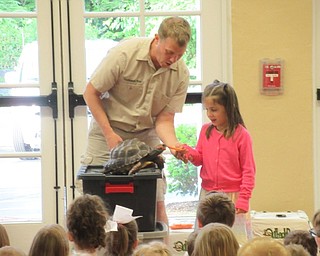 Neighbors | Jessica Harker .A volunteer fed Franklin, a red-footed tortoise, carrots with the help of Outback Ray on June 6 at the Poland library.