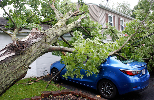 Heavy storms brought down a tree and live wires in front of Nicole and Shawn Varley's house and onto Shawn's car at 8207 Longview Dr. in Howland on Sunday. EMILY MATTHEWS | THE VINDICATOR