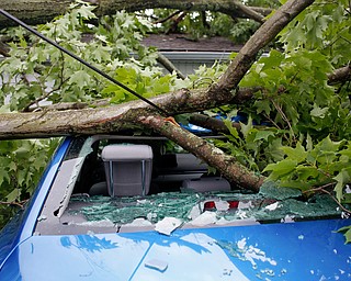 Heavy storms brought down a tree and live wires in front of Nicole and Shawn Varley's house and onto Shawn's car at 8207 Longview Dr. in Howland on Sunday. EMILY MATTHEWS | THE VINDICATOR