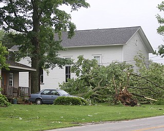  ROBERT K.YOSAY  | THE VINDICATOR..People from Warren to Brookfield are cleaning up after SundayÕs damaging winds after learning that the mess indeed was created by a tornado and possibly a series of touchdowns...two trees fell at the house across from the Brookfield Cemetery