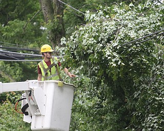  ROBERT K.YOSAY  | THE VINDICATOR..People from Warren to Brookfield are cleaning up after SundayÕs damaging winds after learning that the mess indeed was created by a tornado and possibly a series of touchdowns...Kevin Elliot of Townsend Tree Service from Boardman clears a fallen tree from power  lines in Tod Ave in Warren