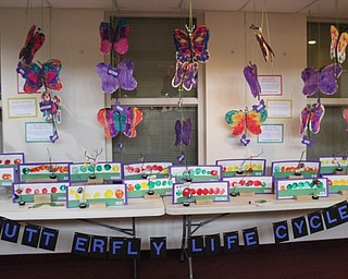 Neighbors | Abby Slanker.Canfield United Methodist Preschool four-year-old class students created a Butterfly Life Cycle exhibit at the school’s annual art show on May 9.