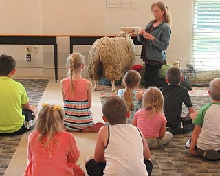 Neighbors | Jessica Harker .Children gathered June 12 at the Austintown library to watch Lindsay Sprauge's sheep sheering demonstration.