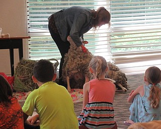 Neighbors | Jessica Harker .Lindsay Sprauge from Winterberry Homestead sheered Delilah the sheep June 12 at the Austintown library.