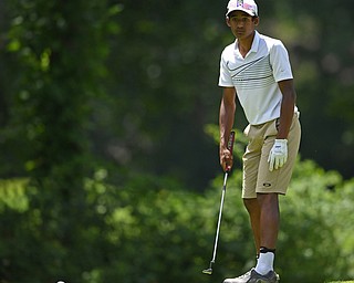 BOARDMAN, OHIO - JUNE 25, 2019: Sachin Nallapaneni, of Canfield, watches his putt on the 17th hole, Tuesday afternoon during the Vindy Greatest Golfer Qualifier at Mill Creek Golf Course. DAVID DERMER | THE VINDICATOR