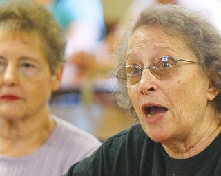 Canfield resident Sarah Easton speaks during the city’s Wednesday night public hearing at Fair Park on a proposed stormwater infrastructure fee hike. 