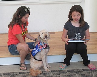 Neighbors | Jessica Harker .Austintown teacher Dana Patrick brought her therapy dog, Reese, to the Austintown library June 21 to listen to children read.