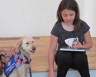 Neighbors | Jessica Harker .Trinity, a sixth grader in Girard schools, read to thereapy dog Reese at the Austintown library June 21.