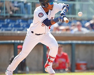 Scrappers' Pedro Alfonseca lays down a bunt during their game against the Muckdogs at Eastwood Field on Sunday afternoon. EMILY MATTHEWS | THE VINDICATOR