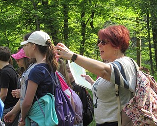 Neighbors | Jessica Harker .Boardman fifth grade teacher Megan Turillo instructed students on how to take photos using BioBlitz to upload to INaturalist May 16.