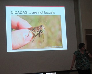 Neighbors | Jessica Harker.Community members gathered at the MetroParks Farm on May 28 to learn about cicadas from Anthropologist Ashley Kulhankek.