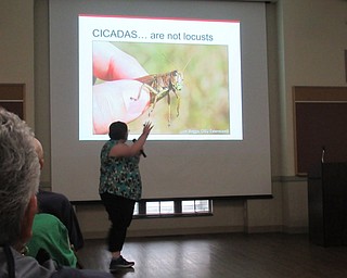 Neighbors | Jessica Harker.Presenter Ashley Kulhanek discussed cicadas with community members at Metro Park Farms May 28 as part of the Ohio State University Extension presentation program.