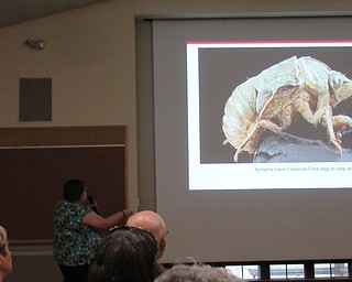 Neighbors | Jessica Harker.Ashley Kullhanek, an anthropologist working with the Ohio State University Extension program, presented at the MetroPark Farms on May 28.