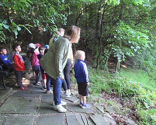 Neighbors | Jessica Harker .Park Pals children stopped to enjoy the view of Lake Glacier from the walking trail June 14.