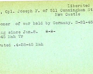World War II, Vindicator, Joseph F. Albert, New Castle, prisoner, Germany, 1945, missing, Mahoning, Trumbull, liberated